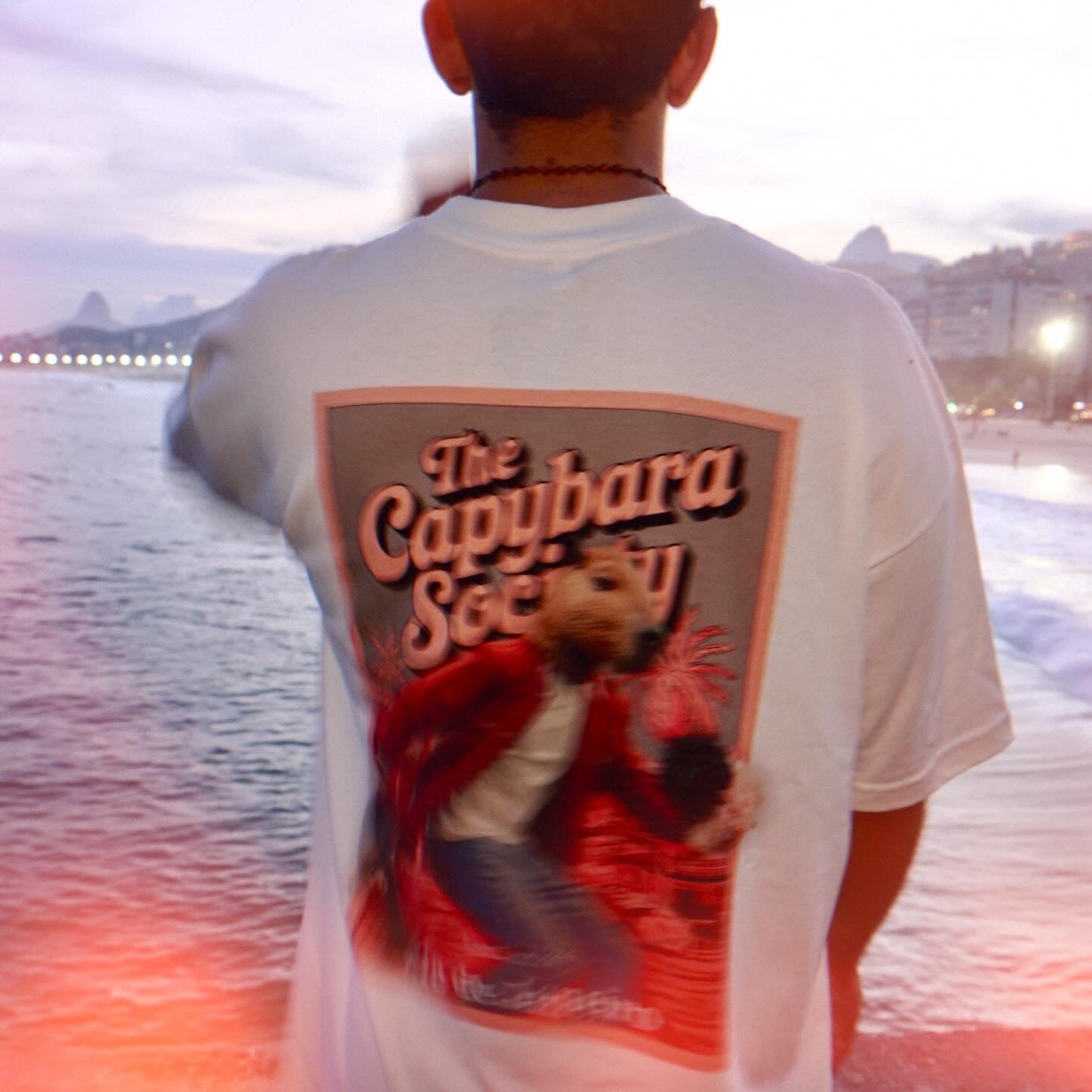 Camiseta Capivara Skatista "Rebels Against the Mainstream II" | Estilo Urbano e Alternativo | Streetwear Unissex